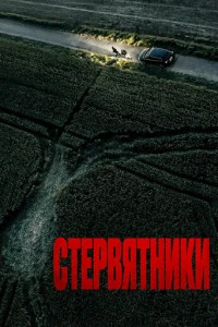 Фильм Стервятники 2025